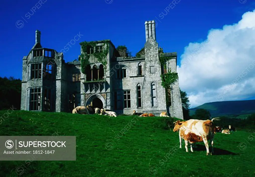 Co Cork, Dunboy castle