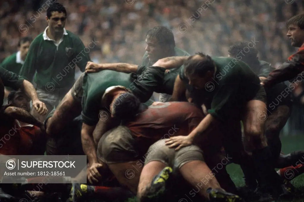 Rugby, Ireland V. Wales