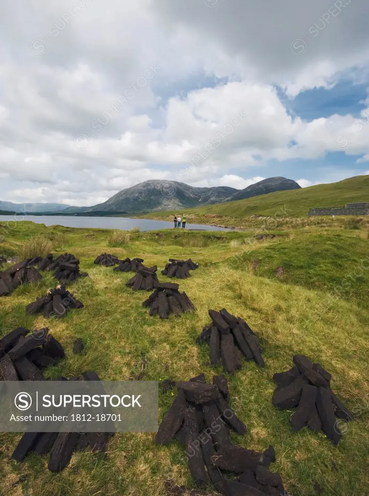 Piles Of Peat Turf in Connemara National Park; County Galway, Ireland