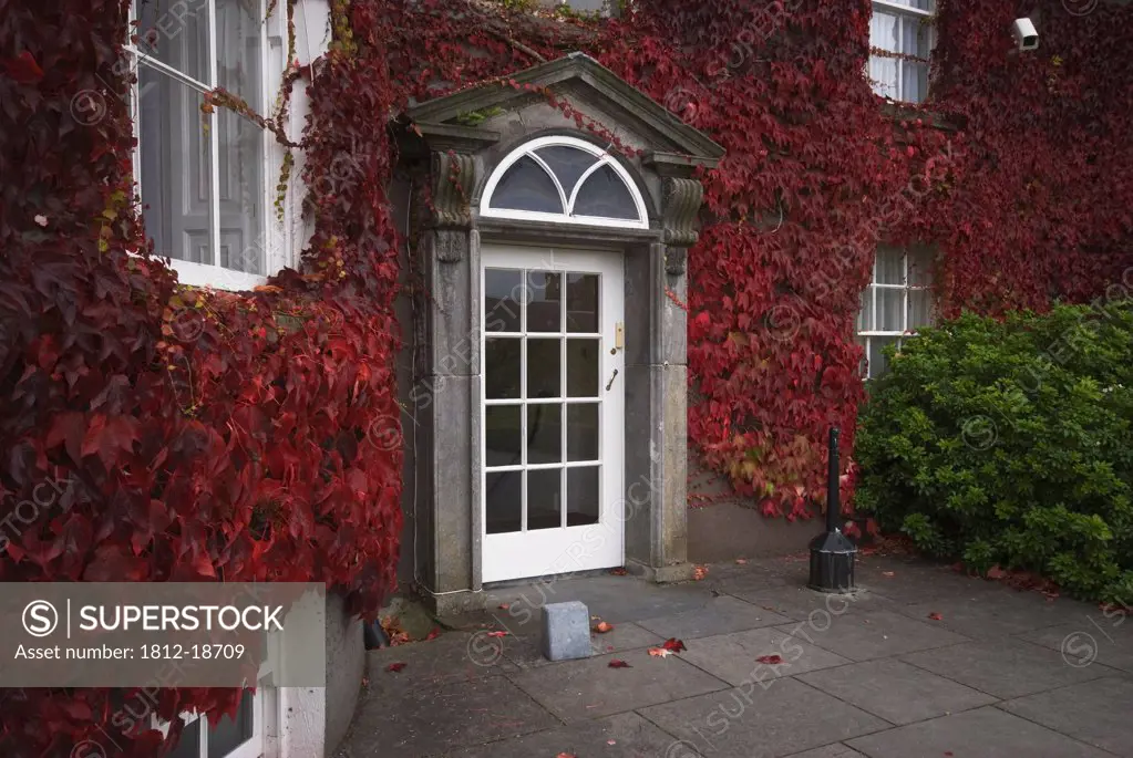 Ivy-Covered Butler House; Kilkenny, County Kilkenny, Ireland