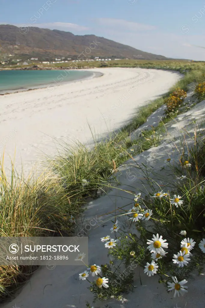 Dog's Bay Beach In Connemara Region; County Galway, Ireland