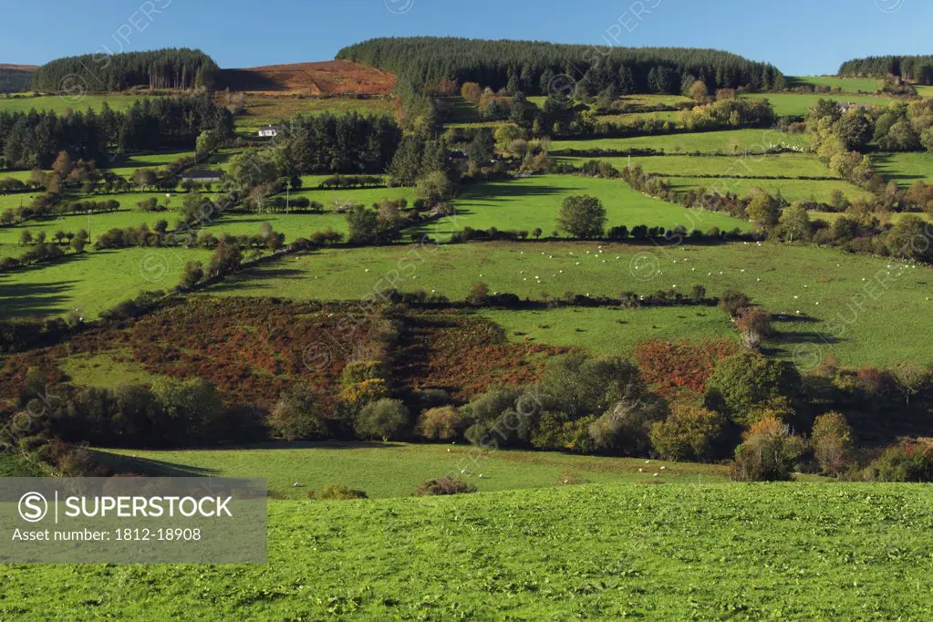 The Nire Valley In Munster Region; County Tipperary, Ireland
