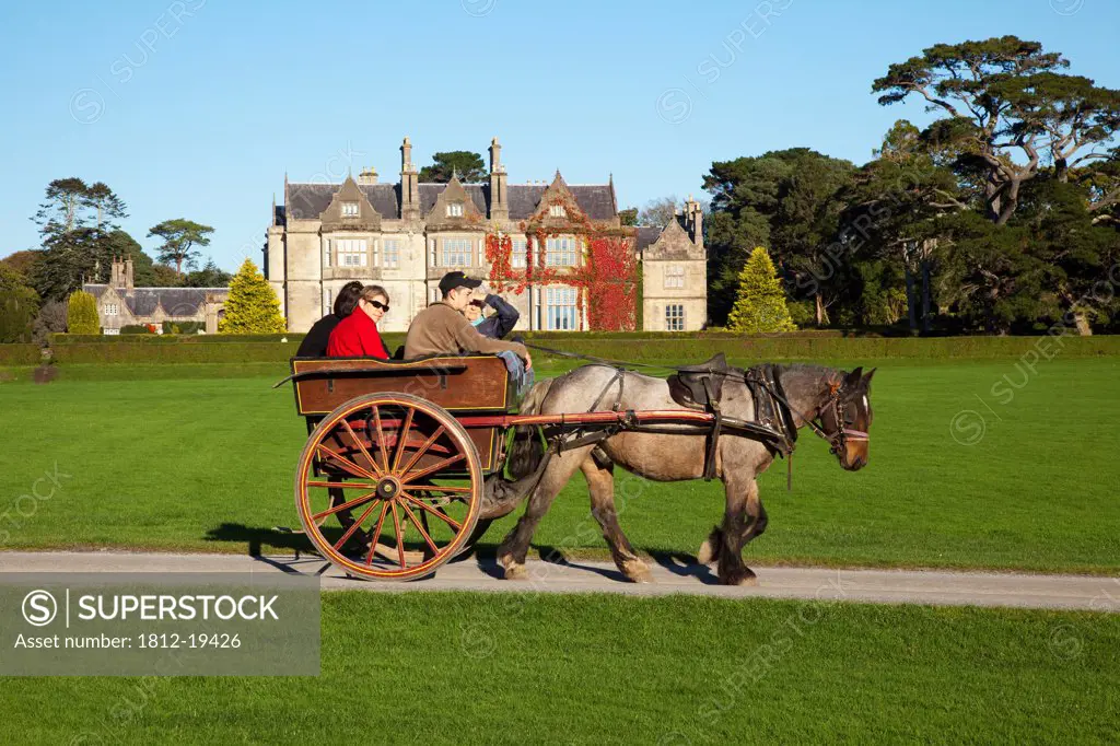 Jaunting Cart At Muckross House In Muckross Gardens; Killarney County Kerry Ireland