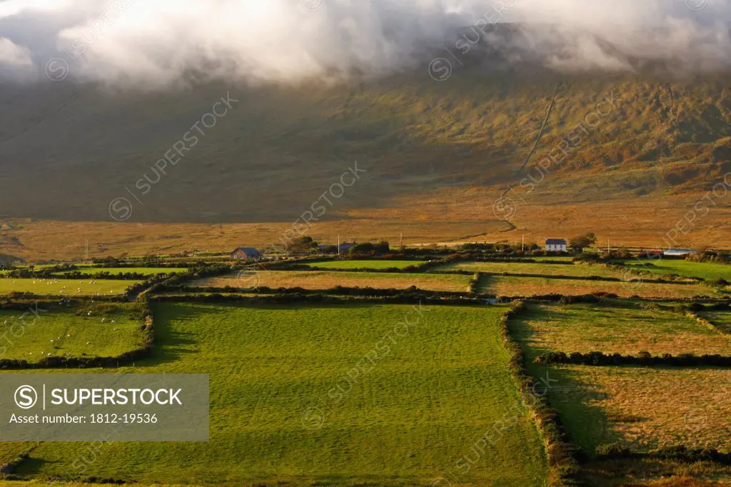 Mist Covered Mountains Around Lispole On The Dingle Peninsula; County Kerry Ireland