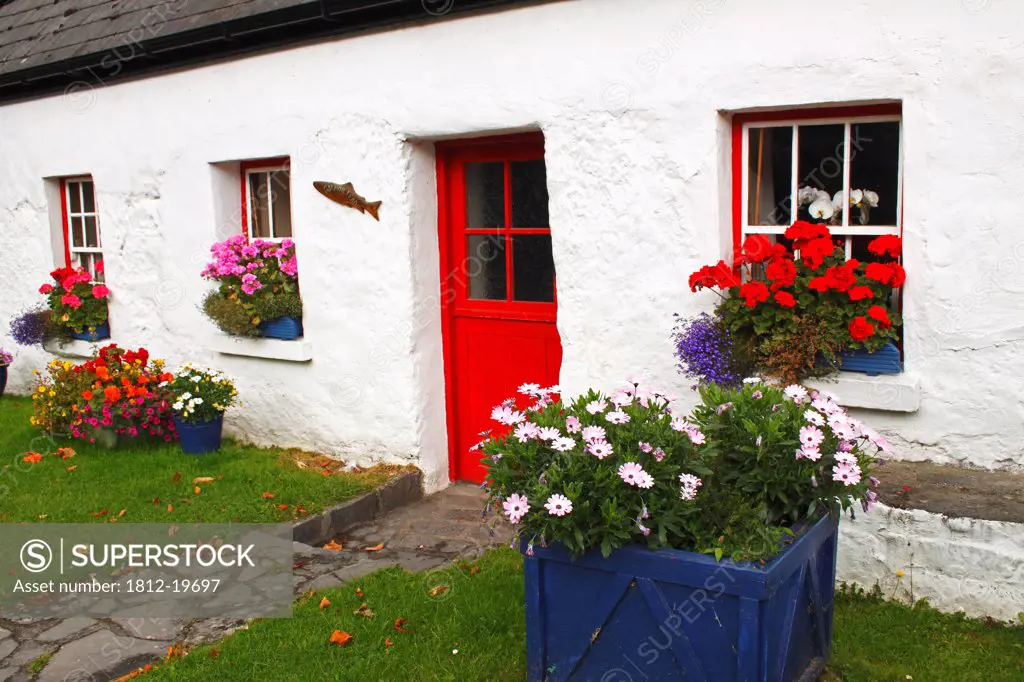 White Cottage With Flower Pots In Connacht Region; Oughterard County Galway Ireland