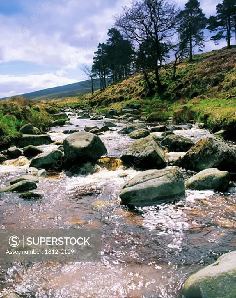 Co Wicklow, River Liffey at Sally Gap, Near to the source