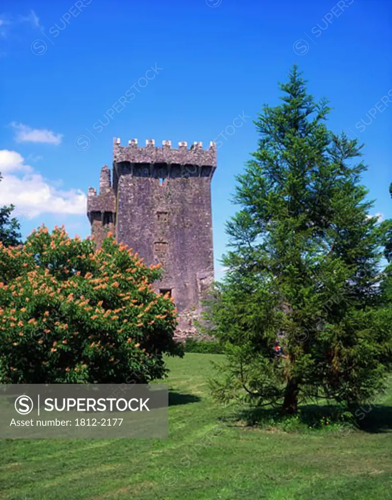 Co Cork, Blarney Castle