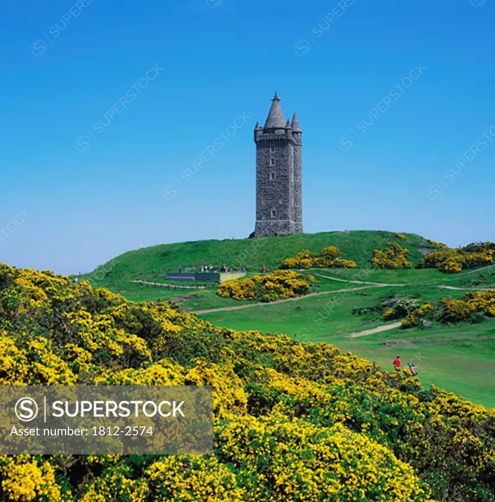 Scrabo Tower and Country Park, Newtownards, Co Down, Ireland