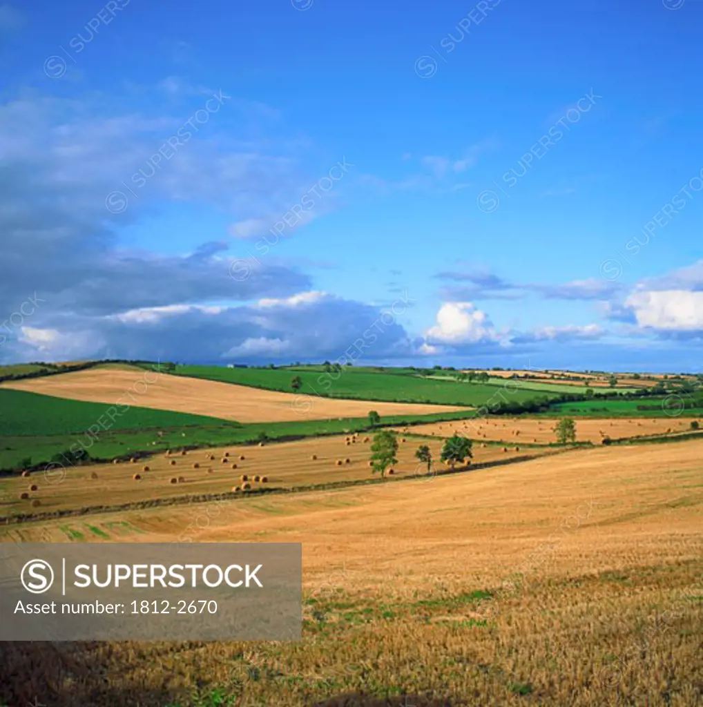 Farmscapes, Near Ardee, Co Louth