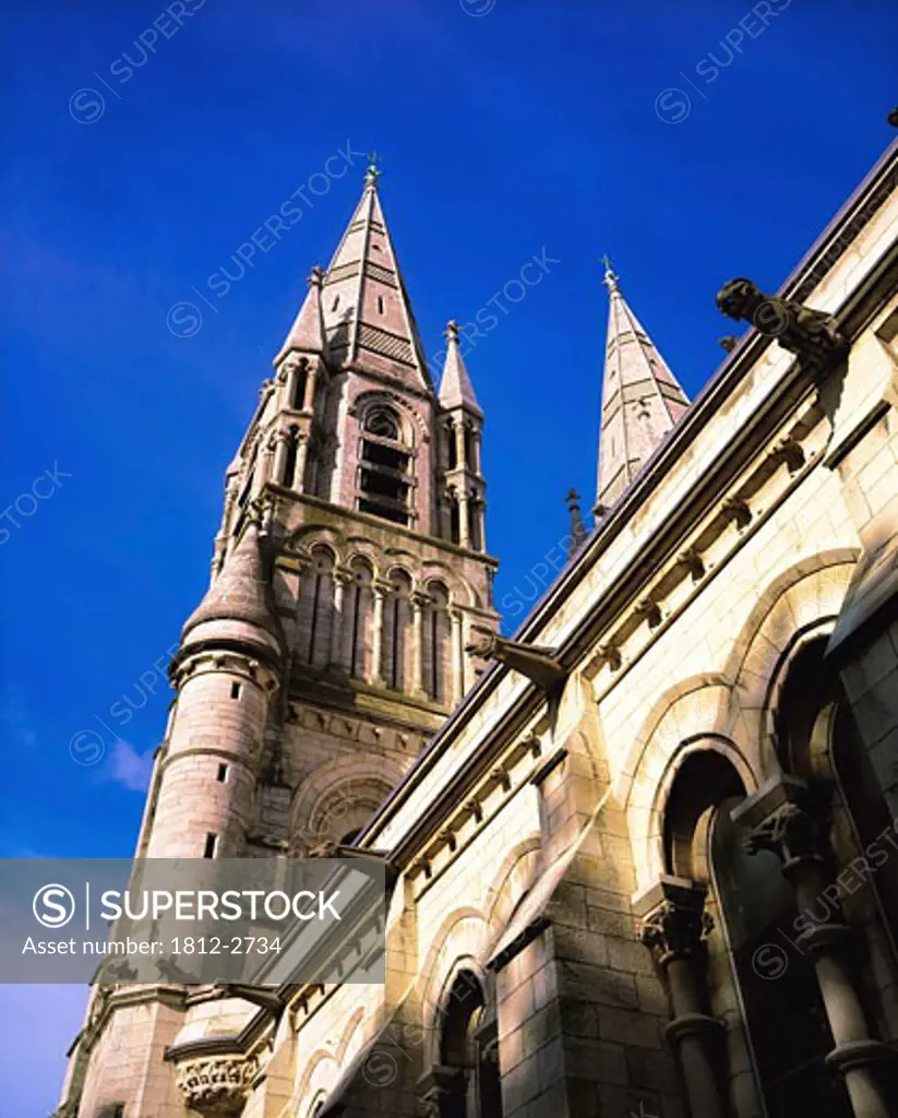 Saint Finbarre's Cathedral, Cork City, Co Cork, Ireland
