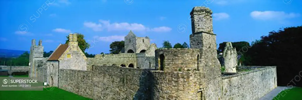 Co Roscommon, Boyle Abbey