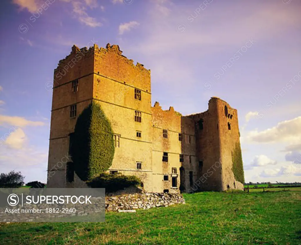 Co Tipperary, 17th C. Loughmoe Castle, Near Templemore