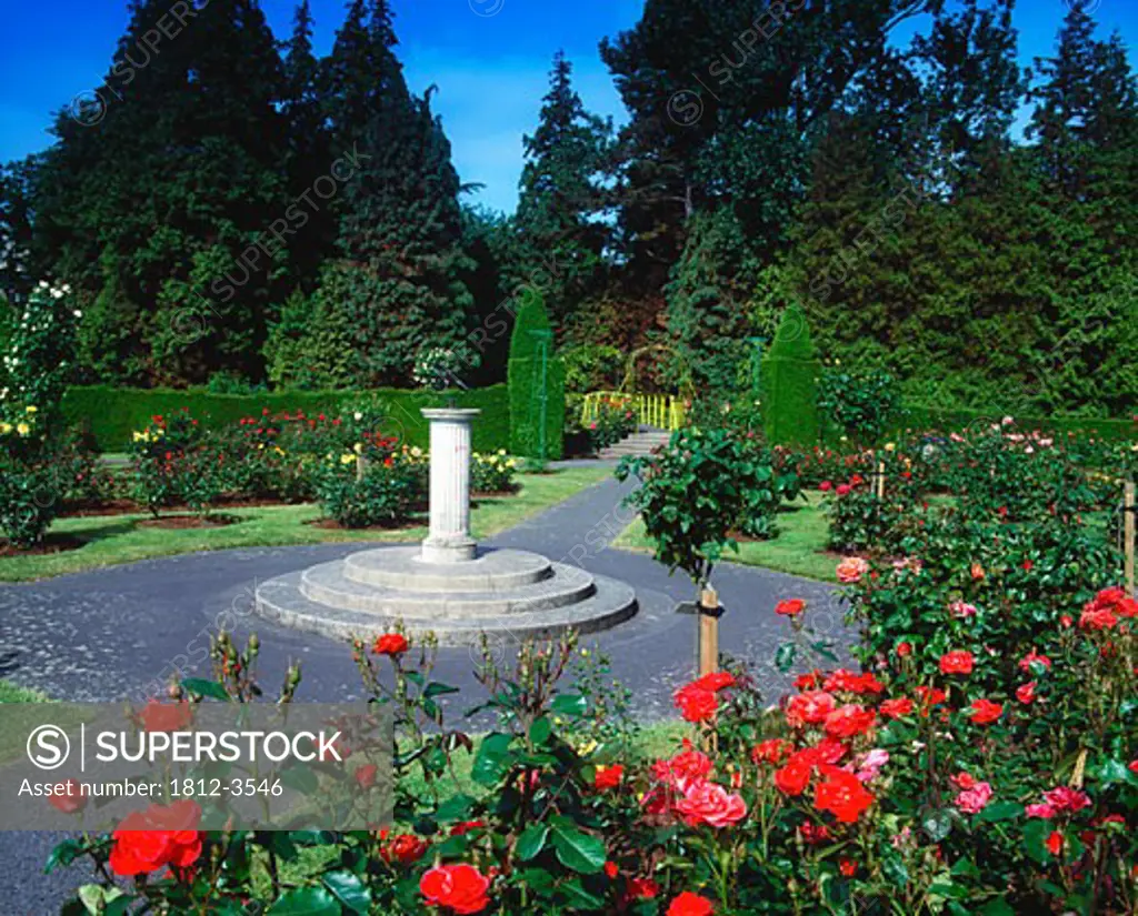 National Botanic Gardens Dublin, The Rose Garden, Mid Summer