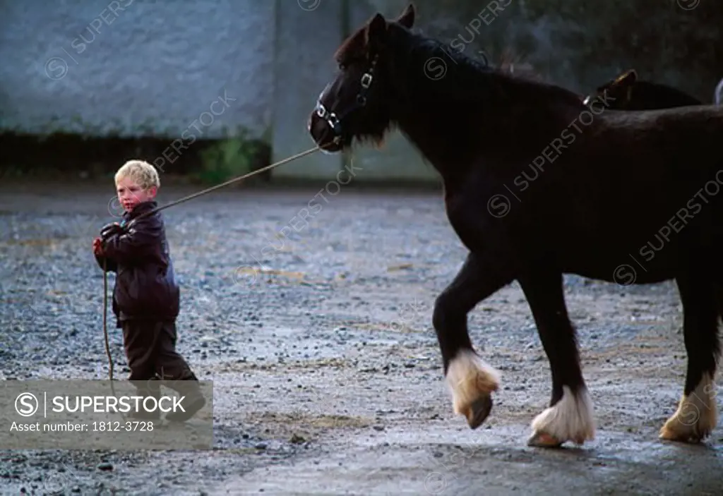 Historic Dublin, Fairs - Smithfield, Child & Horse