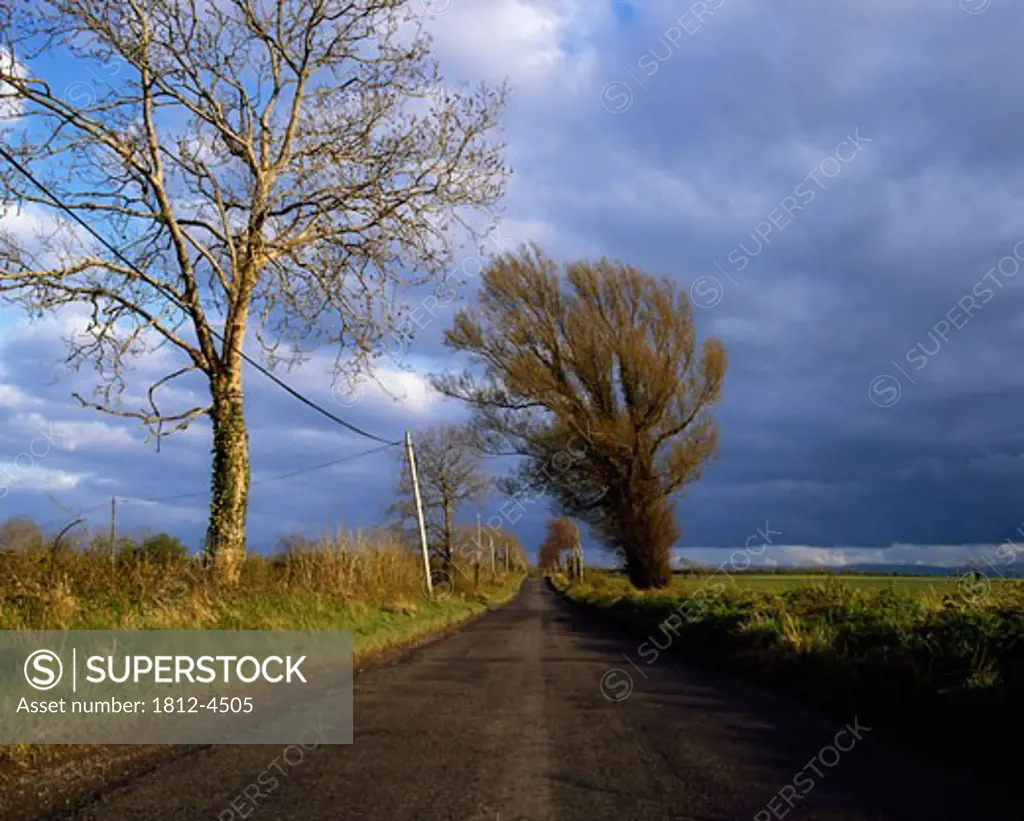 Country Road, Kilbride, Co Meath, Ireland