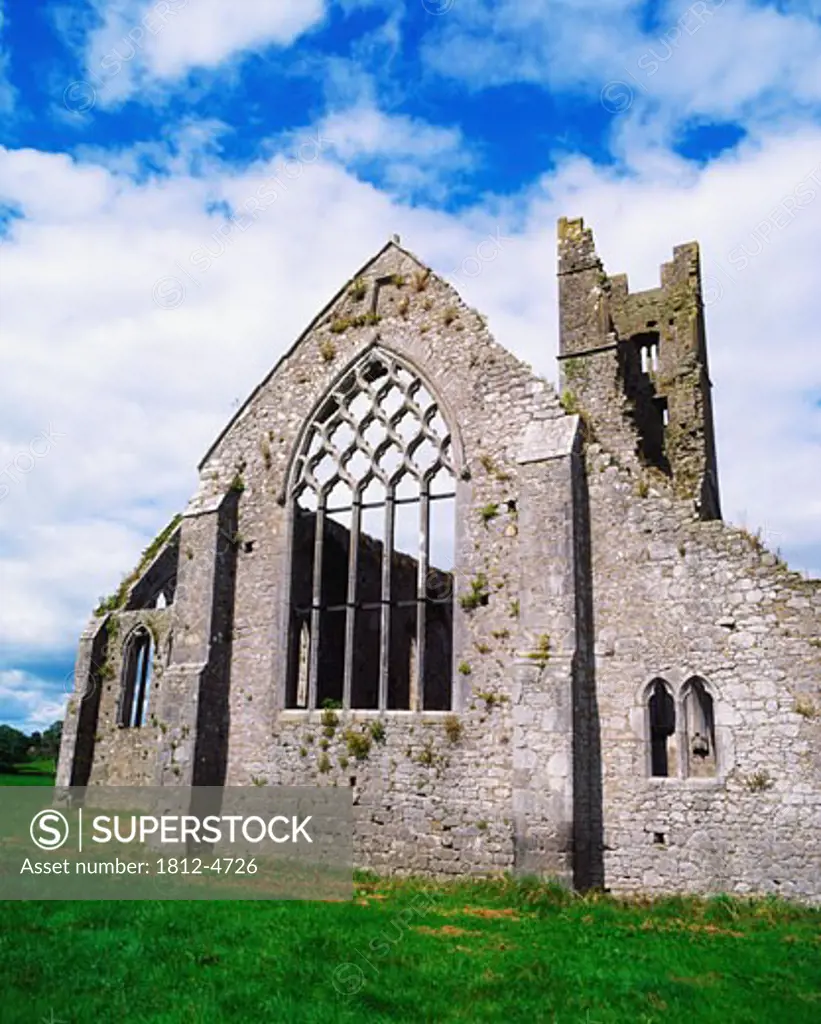 Co Limerick, Dominican Priory 13th Century, Kilmallock