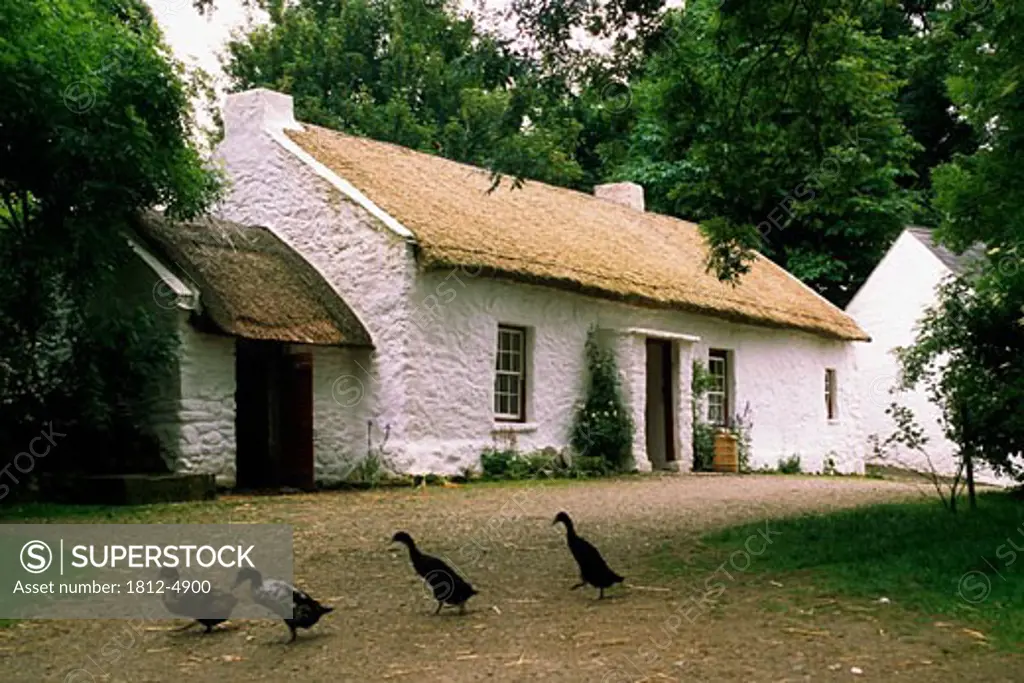Homestead, Ulster American Folk Park, Co Tyrone, Ireland