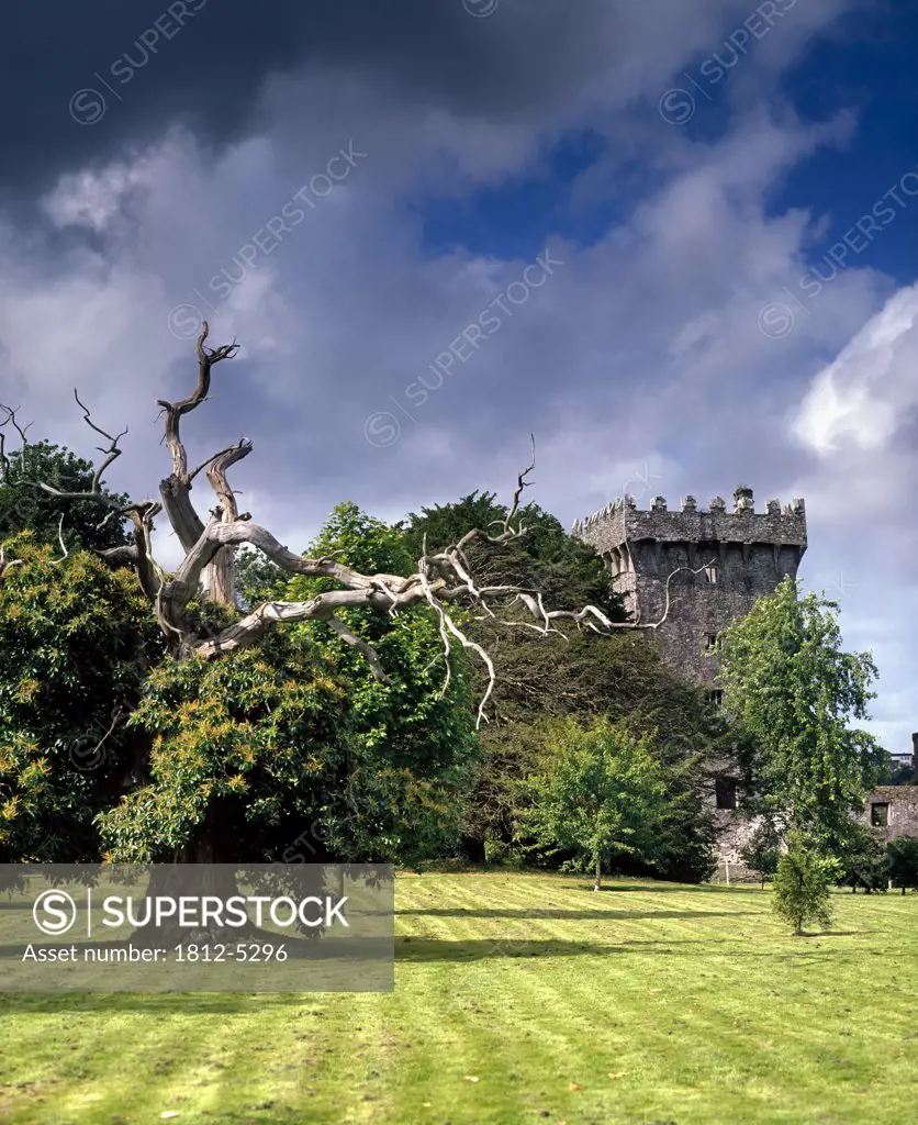 Blarney Castle, Co Cork, Ireland