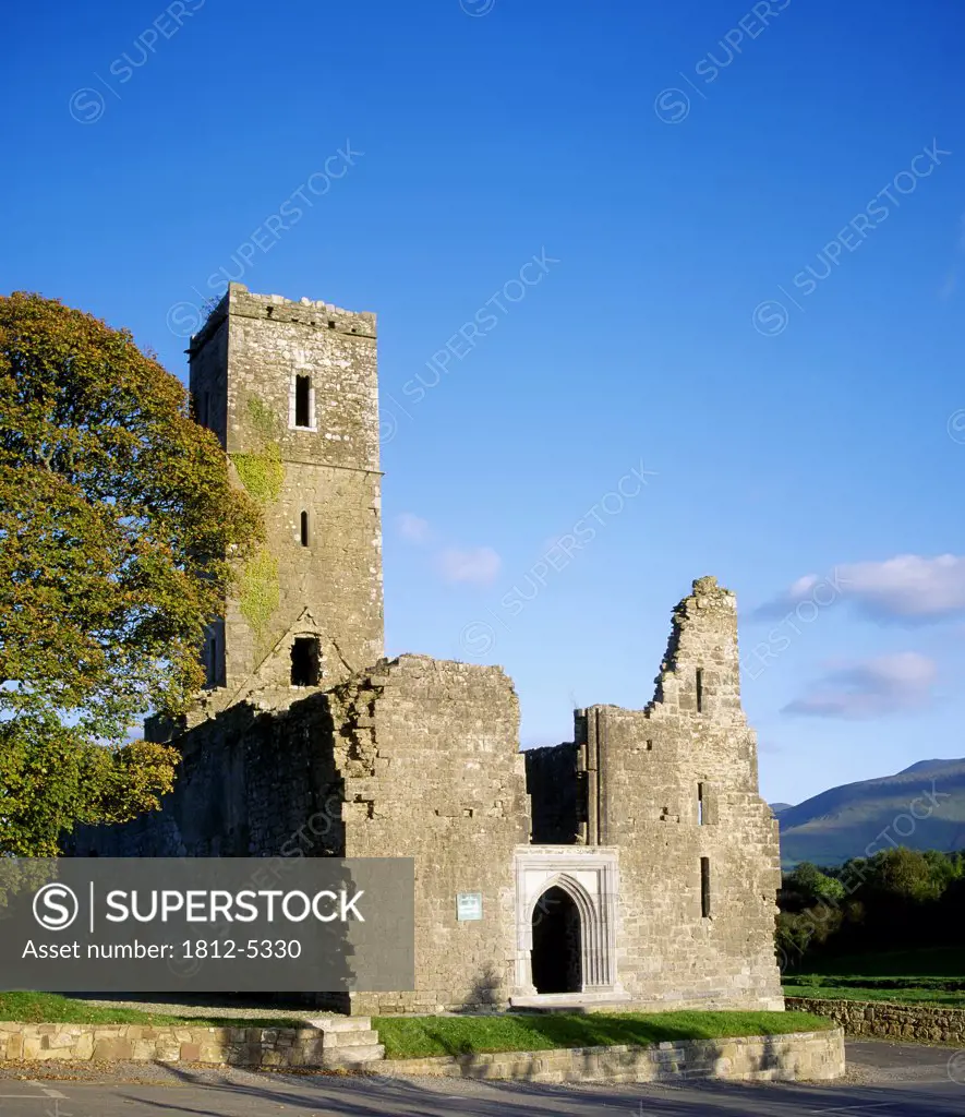Moor Abbey, Franciscan friary, Galbally, Co Limerick, Ireland