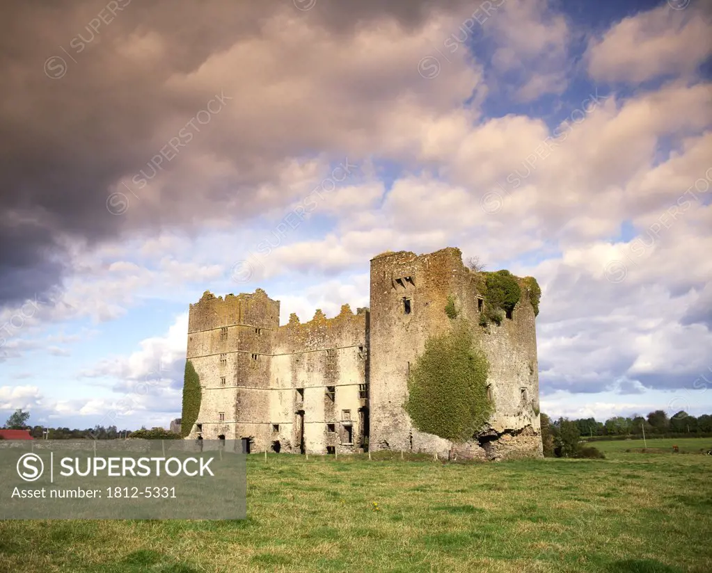 Loughmoe Castle, Loughmore, Co Tipperary, Ireland