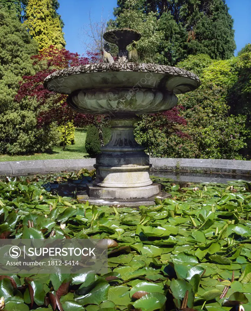 The Heron Fountain and Water Lilies, Castlewellan, Co Down, Ireland