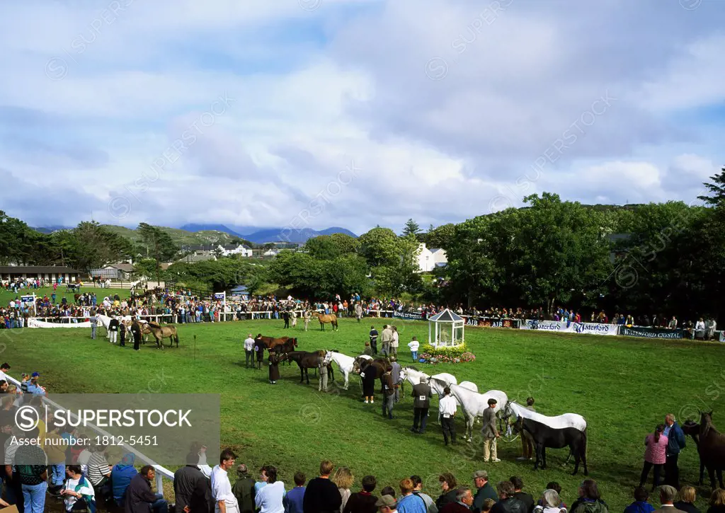 Clifden Pony Show, Co Galway, Ireland