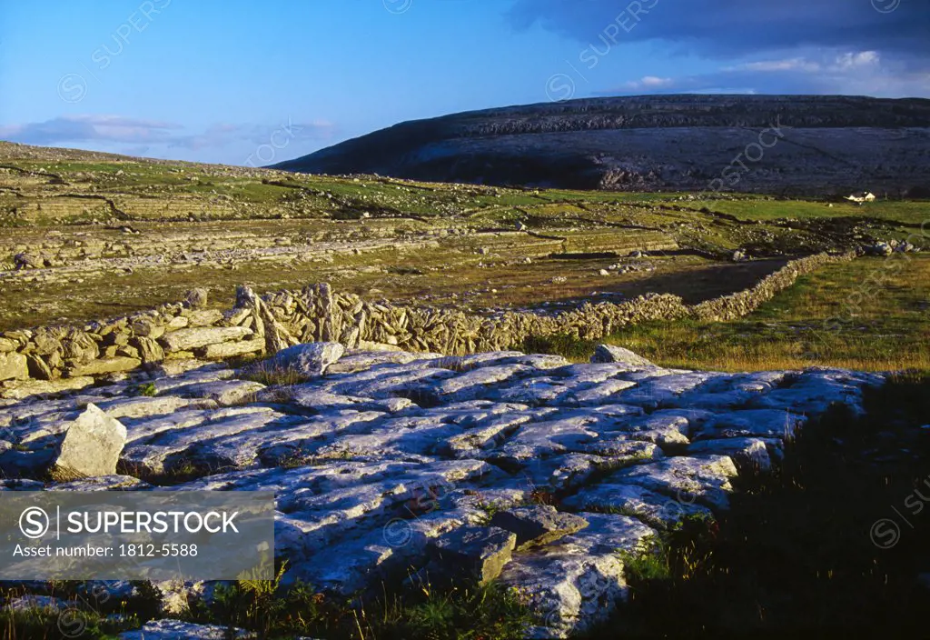 The Burren, County Clare, Ireland; Barren landscape with stone walls
