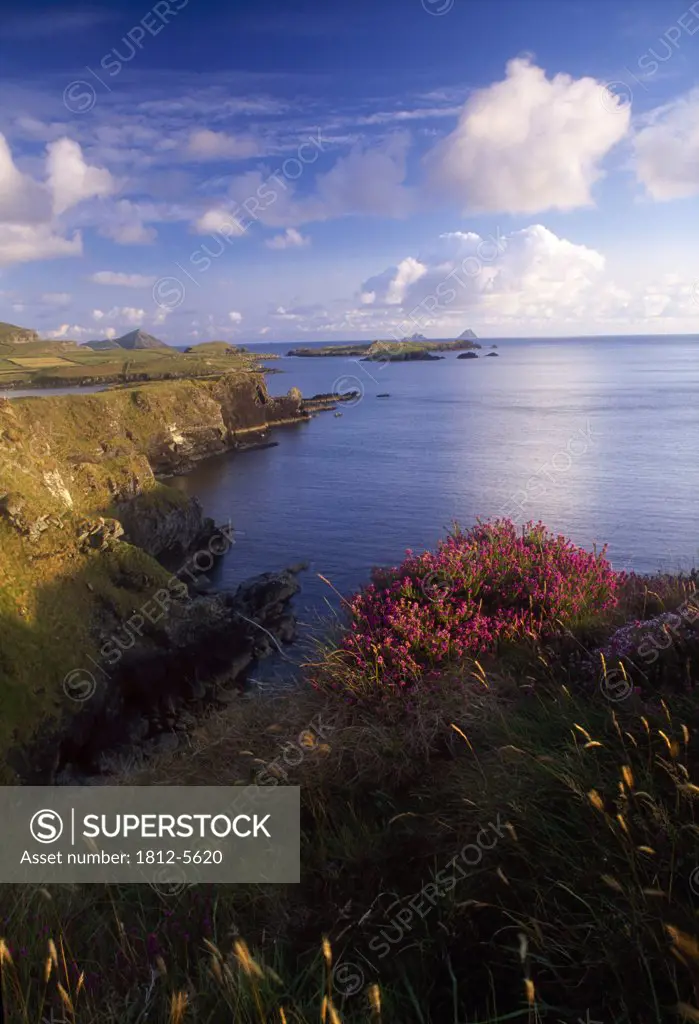 Foilhomurrin Bay, Valentia Island, County Kerry, Ireland; Island seascape