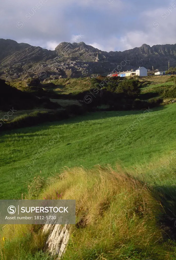Allihies, Beara Peninsula, County Cork, Ireland; Field on the edge of town
