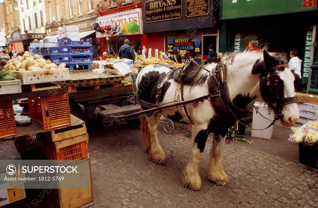Moore Street, Dublin, Ireland; Horse-drawn cart