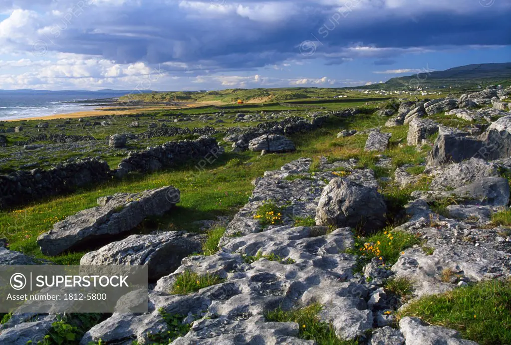 The Burren, County Clare, Ireland; Rocky landscape