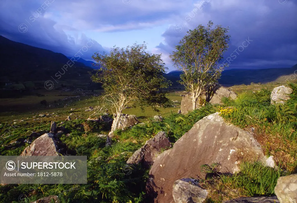 Molls Gap, Killarney National Park, County Kerry, Ireland; Rocky scenic