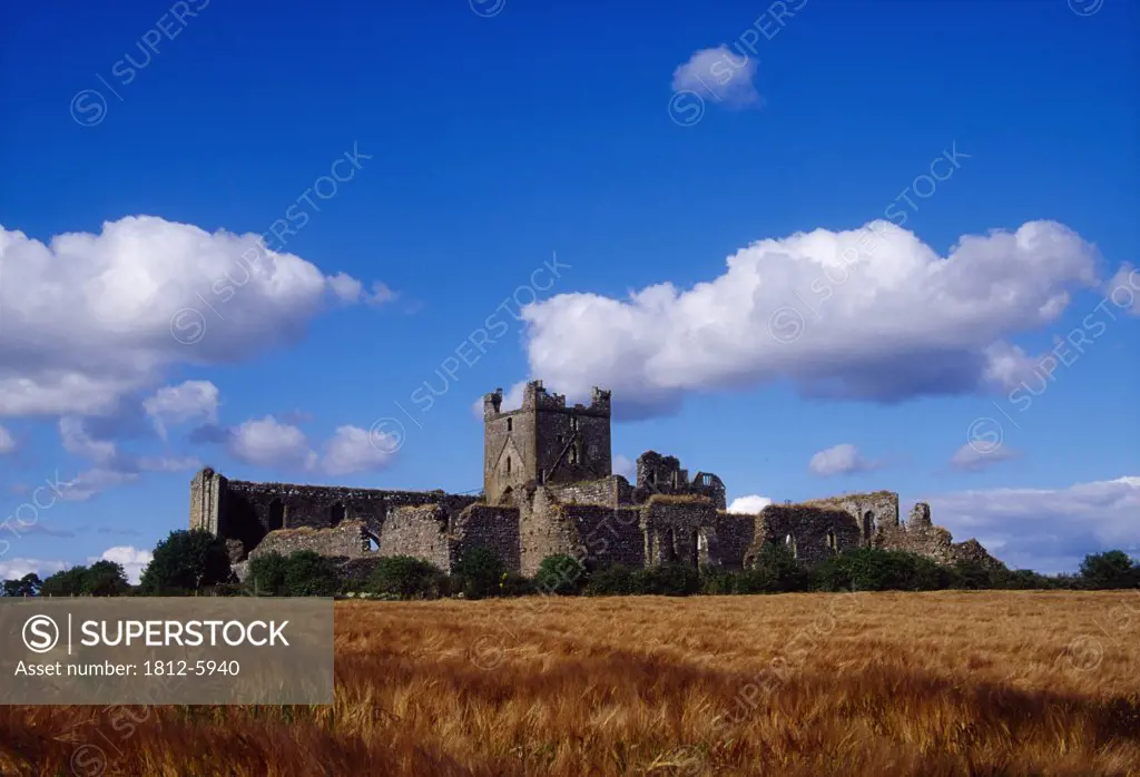 Dunbrody Abbey, County Wexford, Ireland; Historic abbey