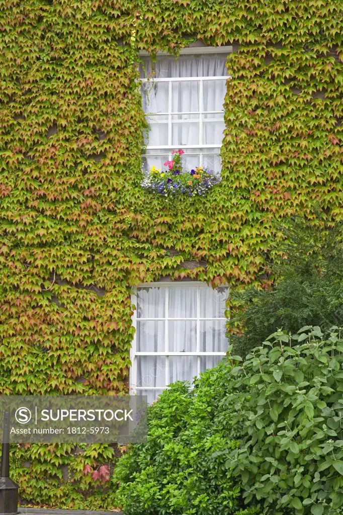Butler House, Kilkenny City, County Kilkenny, Ireland; Ivy covered historic guesthouse
