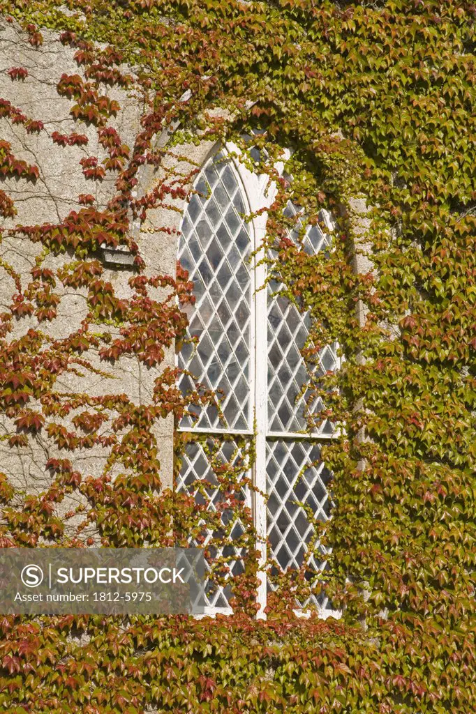 Enniseag church, County Kilkenny, Ireland; Architectural detail of church window  