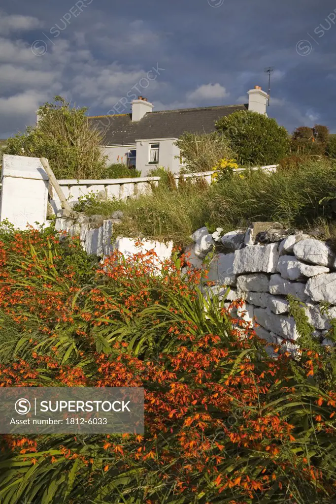 Fanore, County Clare, Ireland; Farmhouse and garden  