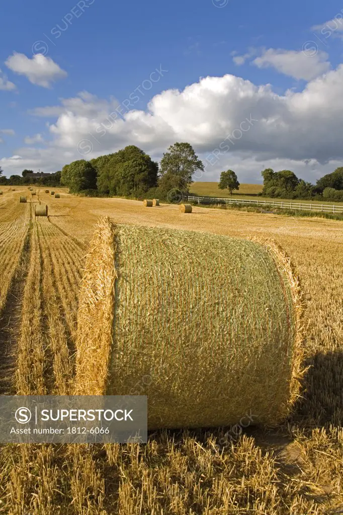 Ardmore, County Waterford, Ireland; Bales of hay in field  