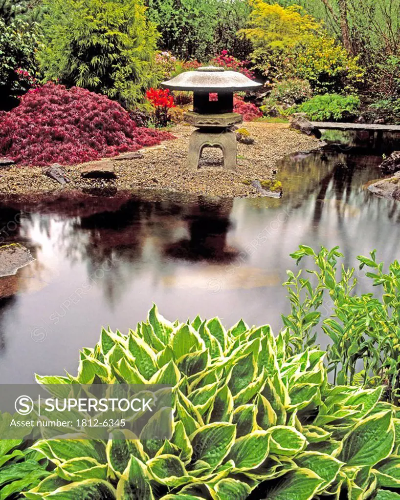 Japanese Garden, Ardcarrig, Co Galway, Ireland