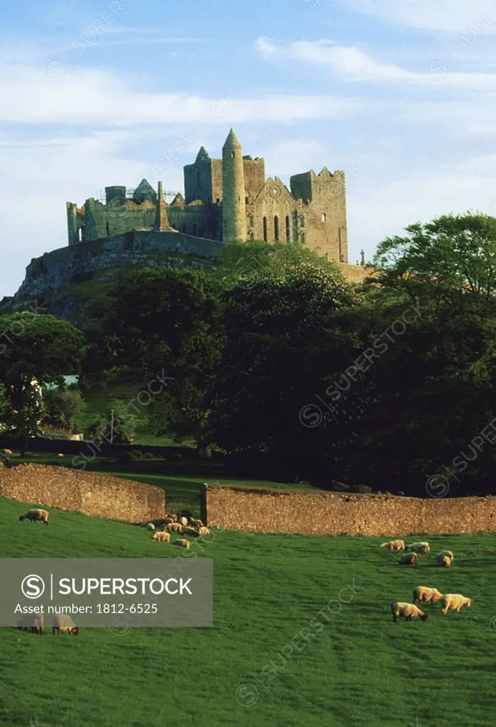 Rock of Cashel, Co Tipperary, Ireland, Medieval Irish castle