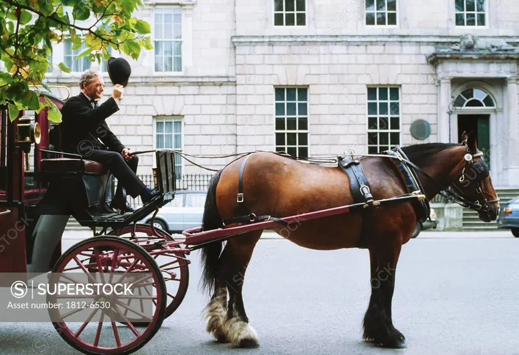 St Stephen´s Green, Dublin, Co Dublin, Ireland, Man steering a carriage