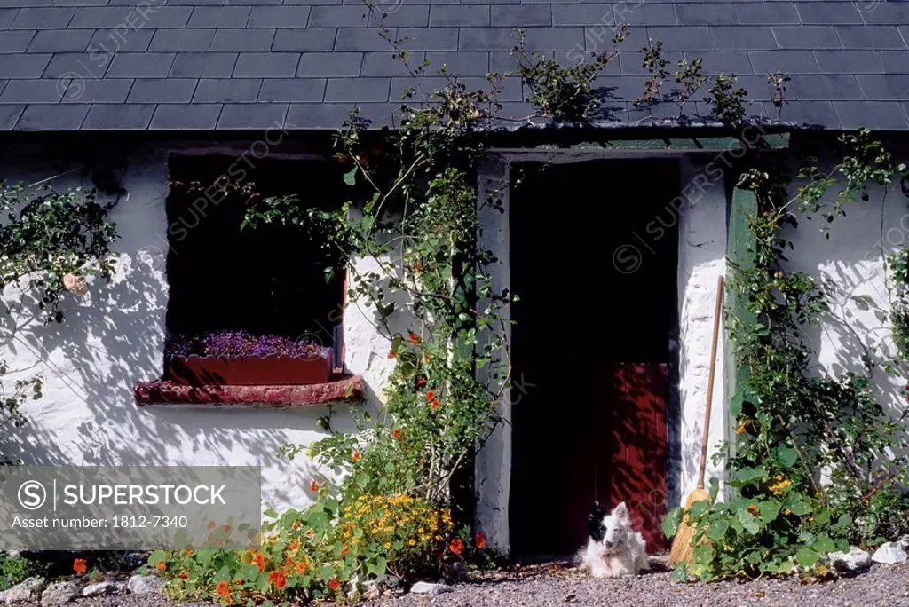 Dingle, Co Kerry, Ireland, Exterior view of a traditional cottage