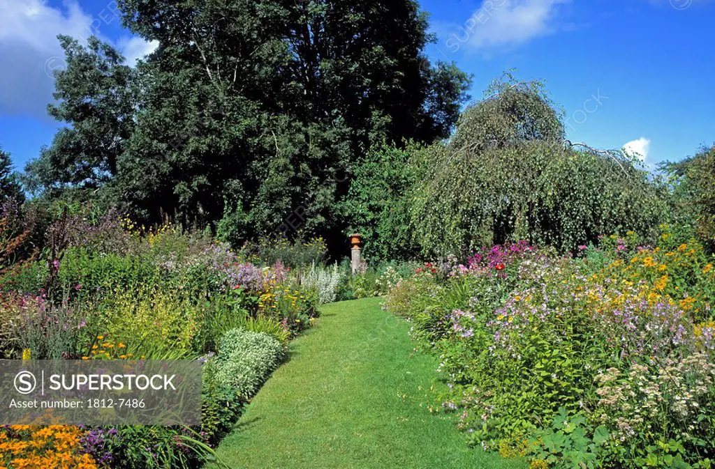 Butterstream Gardens, Co Meath, Ireland, Herbaceous border during Summer