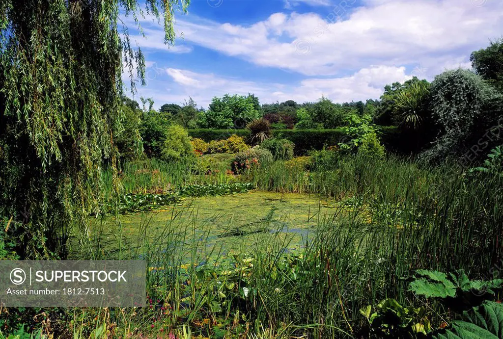 Talbot Gardens, Malahide, Co Dublin, Ireland, The Pond Garden,