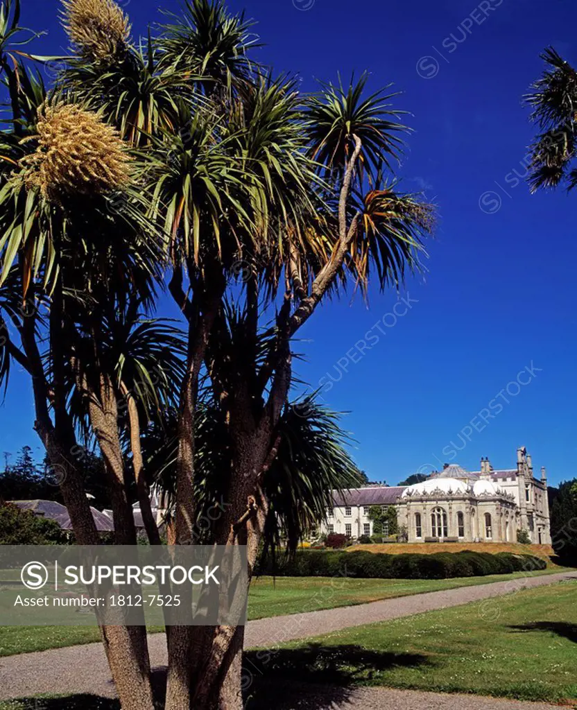 Killruddery House and Gardens, Bray, Co Wicklow, Ireland, Victorian conservatory and Cordyline