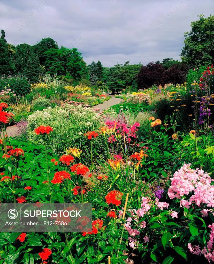 Irish National Botanic Gardens, Dublin, Co Dublin, Ireland, Path through blooming flowers