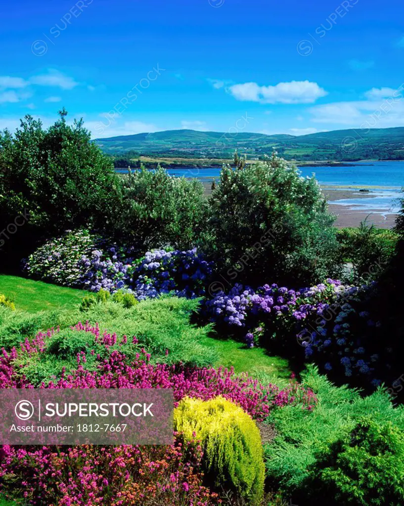Kilcrohane, Co Cork, Ireland, View from garden to Dunmanus Bay