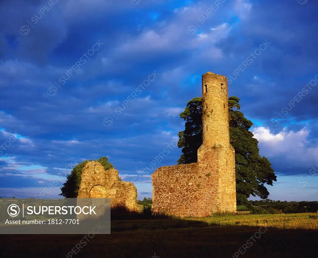 St Mary´s Abbey, Ferns, Co Wexford, Ireland, Abbey established in 1158