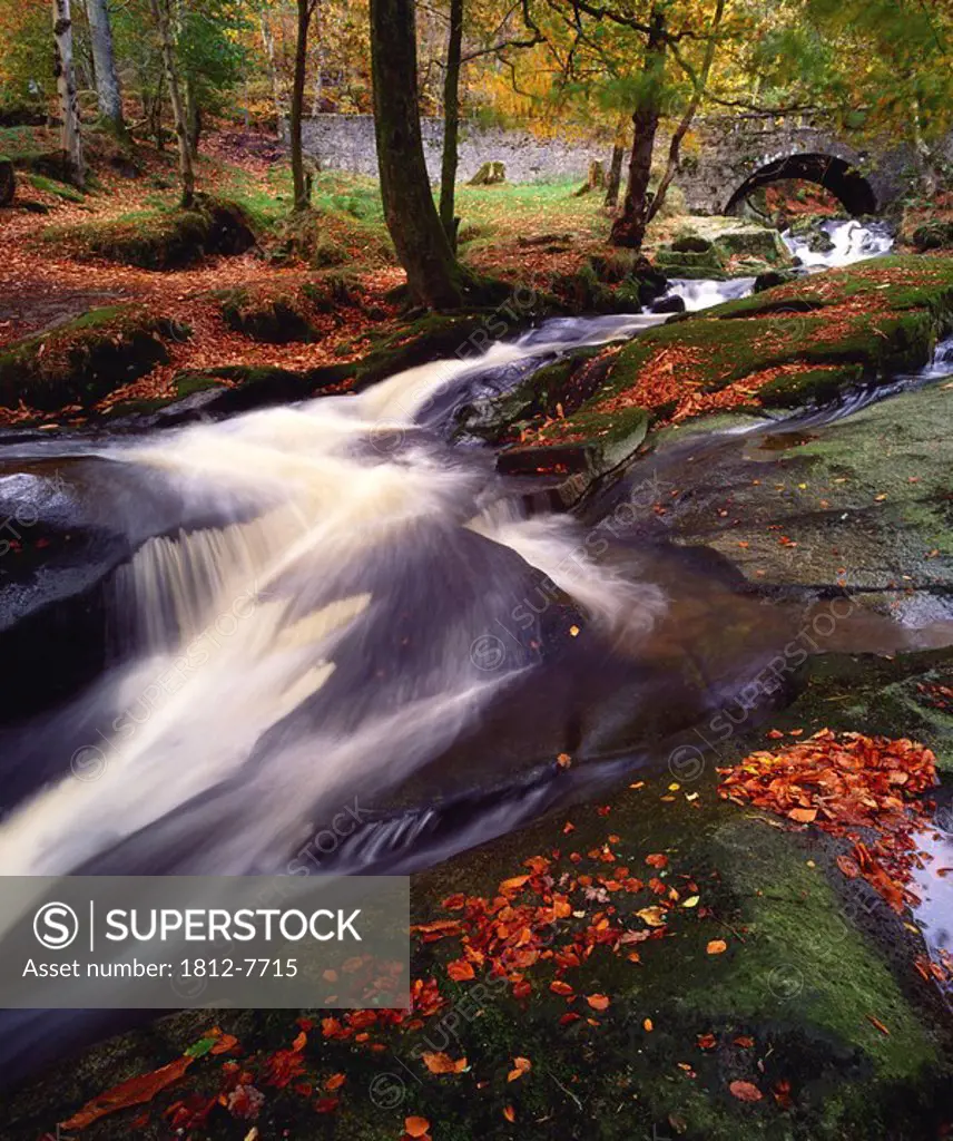 Sally Gap, County Wicklow, Ireland, Creek in woods in autumn