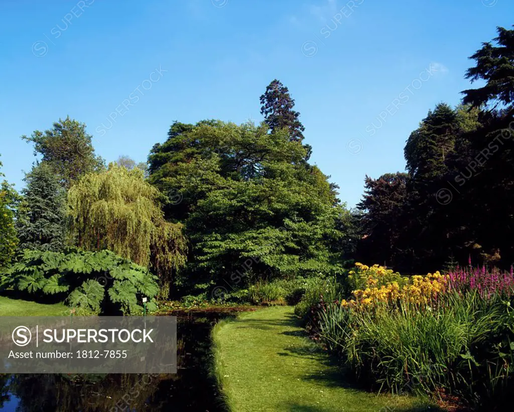 National Botanic Gardens, Glasnevin, Co Dublin, Ireland, Stream through gardens