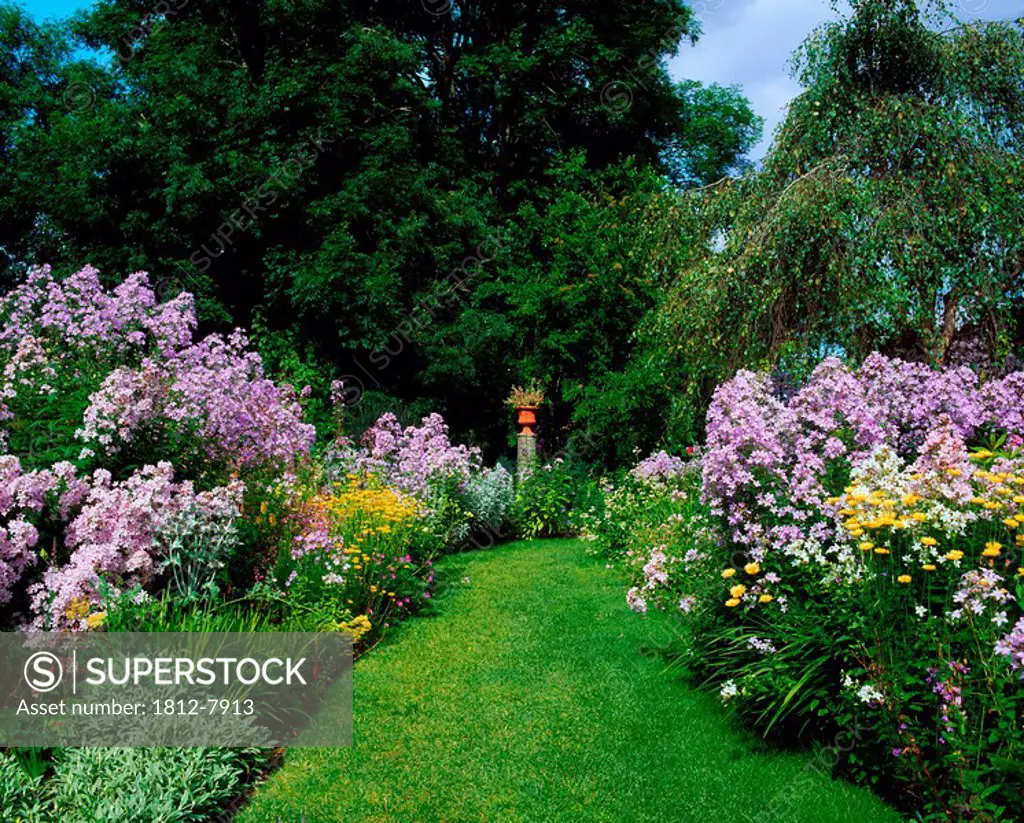 Butterstream, Trim, Co Meath, The Herbaceous Border, Summer